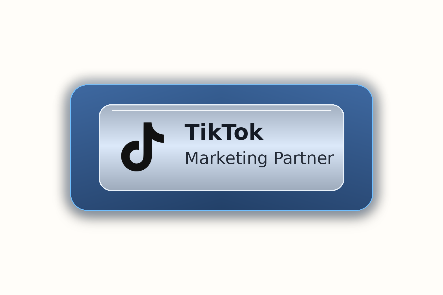 TikTok Marketing Partners